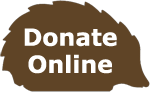 Donate Online