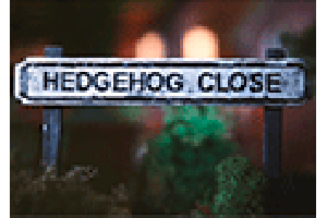 Hedgehog Close Film