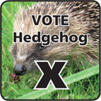 Hedgehog Street