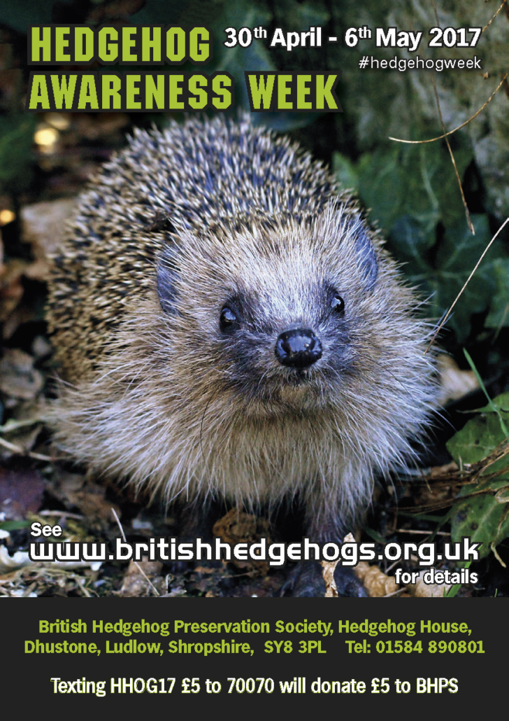 Hedgehog Awareness Week 2017