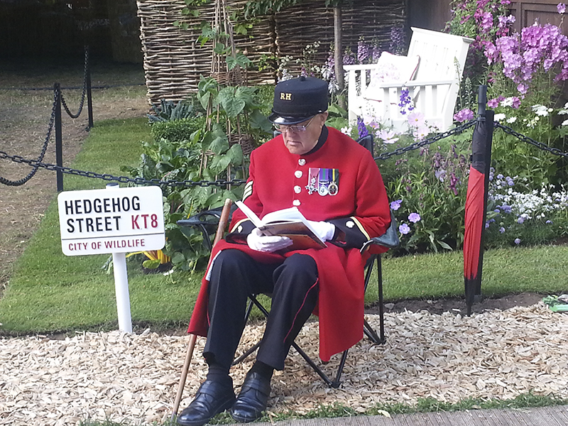 Major Adrian Coles