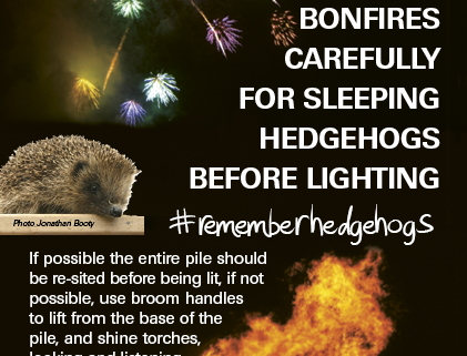 BHPS - Please Check Bonfires