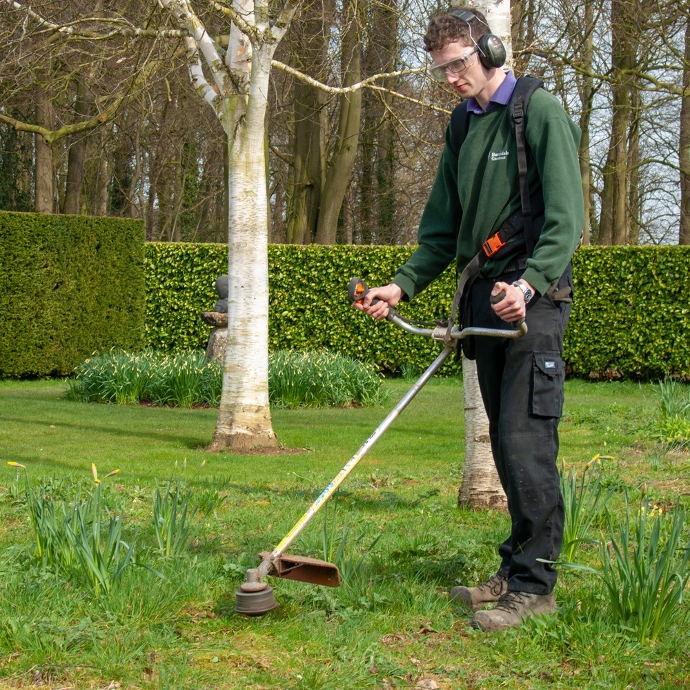 Hedgehog Heroes - Barnsdale Gardens - The British Hedgehog Preservation ...