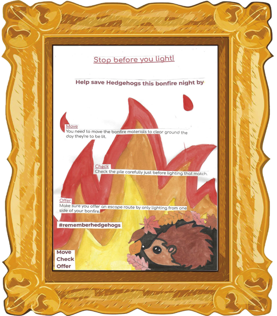 Ruby Hall Age 12 - Winner of BHPS bonfire poster competition 2023