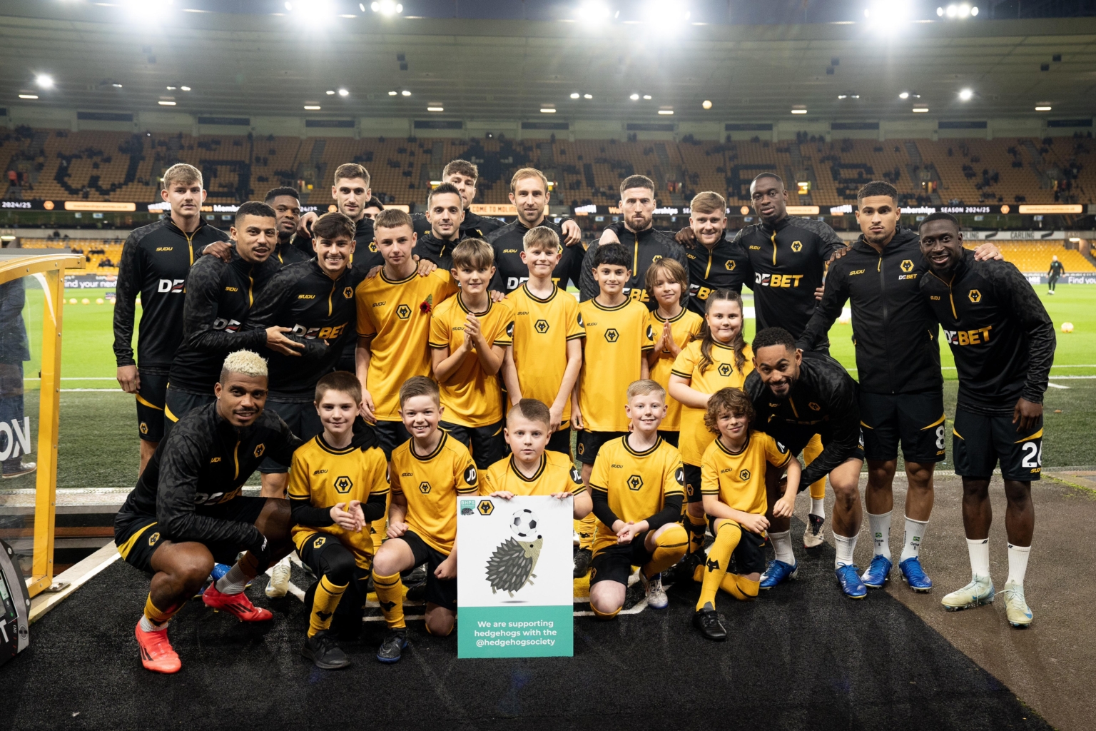 Wolves are the winners of the Hobsons’ Hedgehog Cup! - The British ...